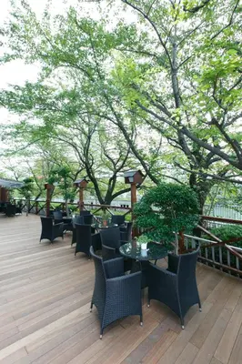 a patio with chairs and tables and trees at Day Nice Hotel Tokyo in Tokyo