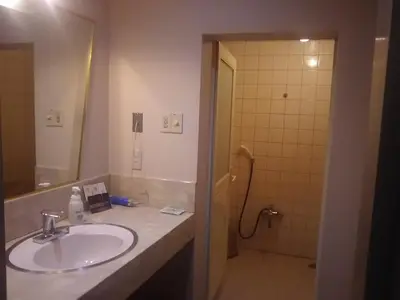a bathroom with a sink and a shower at Hotel Sting in Tokyo