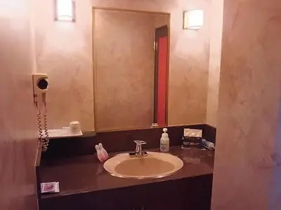 a bathroom with a sink and a large mirror at Hotel Sting in Tokyo