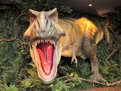 a model of a dinosaur with its mouth open at Henn na Hotel Maihama Tokyo Bay in Urayasu