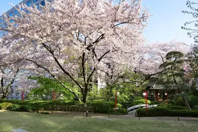 a flowering tree in a park with a building at Takanawa Hanakohro, a Member of Small Luxury Hotels of the World in Tokyo