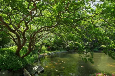 a river with a bunch of trees over it at Takanawa Hanakohro, a Member of Small Luxury Hotels of the World in Tokyo