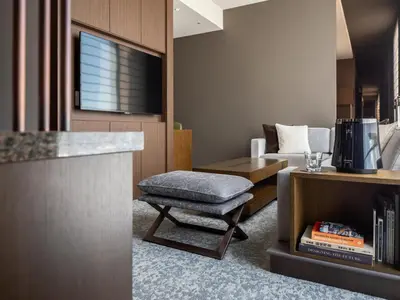 a living room with a chair and a television at Hotel The Celestine Ginza in Tokyo