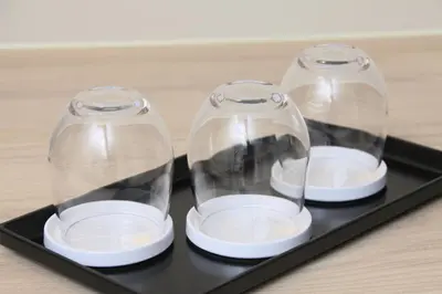 two glass clocods sitting on a black tray at Center Hotel Tokyo in Tokyo