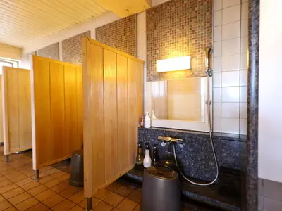 a bathroom with a shower and a toilet in it at Dormy Inn EXPRESS Asakusa in Tokyo