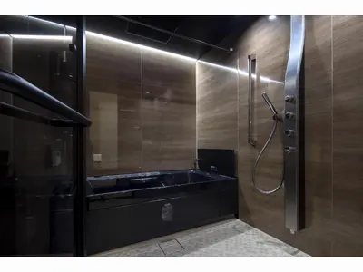 a bathroom with a sink and a shower at Randor Residence Tokyo Suites in Tokyo