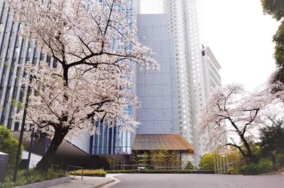 a gazebo in the middle of a city with tall buildings at The Capitol Hotel Tokyu in Tokyo