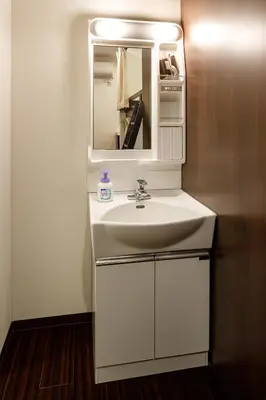 a bathroom with a white sink and a mirror at Hotel Owl Tokyo Nippori in Tokyo