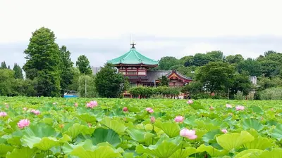 a building in a field of pink flowers at Hotel Sardonyx Ueno in Tokyo