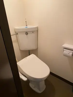 a bathroom with a white toilet in a room at Oyado Cocochi in Tokyo