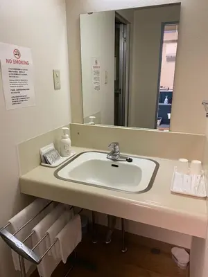 a bathroom with a sink and a mirror at Oyado Cocochi in Tokyo