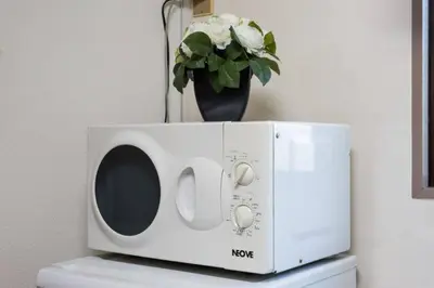 a microwave sitting on top of a refrigerator with a vase at Ogi-Ohashi Apartment in Tokyo