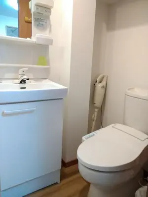 a bathroom with a white toilet and a sink at Rimon Apartment in Tokyo