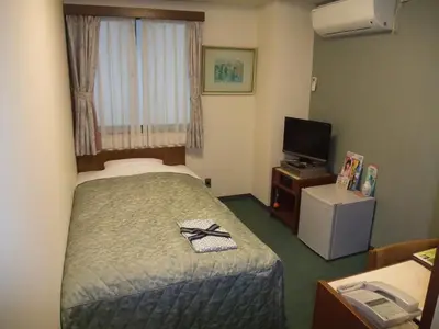 a hotel room with a bed and a television at Hotel Tateshina in Tokyo