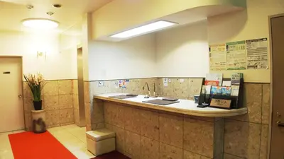 a bathroom with a sink and a mirror at Hotel Park Avenue in Tokyo
