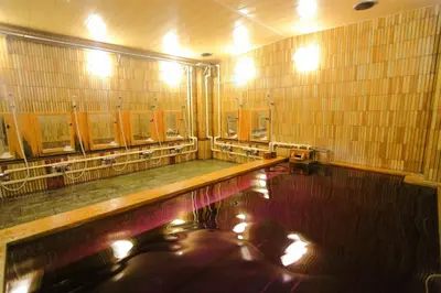 a bathroom with a pool of water and mirrors at Hotel Marutani in Tokyo