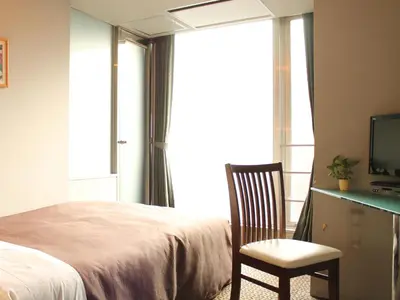 a bedroom with a bed and a chair and a television at HOTEL LiVEMAX BUDGET Korakuen in Tokyo