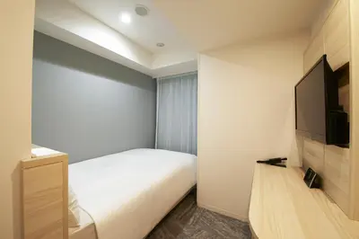 a hotel room with a bed and a flat screen tv at Sotetsu Fresa Inn Ueno-Okachimachi in Tokyo