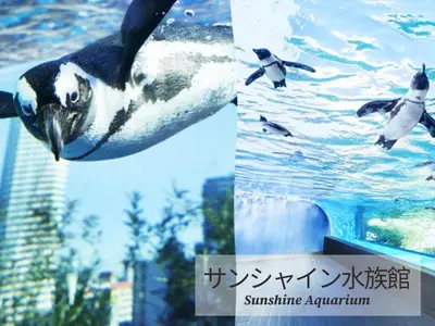 a picture of a penguin swimming in the water at Restay Frontier (Adult Only) in Tokyo