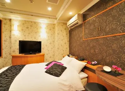 a bedroom with a bed and a desk with a television at Hotel California Kaminarimon (Adult Only) in Tokyo