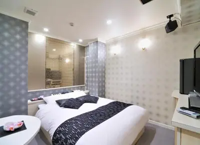 a bedroom with a bed and a sink and a television at Hotel California Kaminarimon (Adult Only) in Tokyo