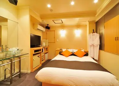 a hotel room with a bed and a television at Hotel California Kaminarimon (Adult Only) in Tokyo