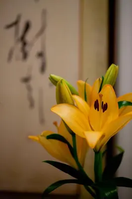 a yellow flower in a vase with writing on it at Kimi Ryokan in Tokyo