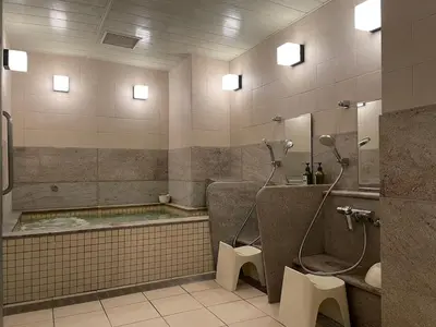 a bathroom with a tub and a shower and a toilet at Glansit Akihabara in Tokyo