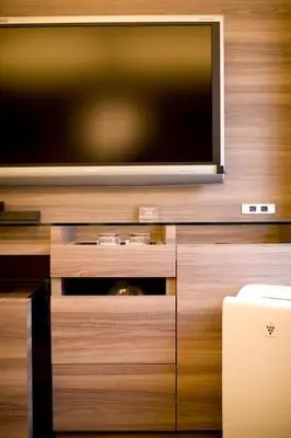 a flat screen tv sitting on top of a wooden wall at Tokyo Green Palace in Tokyo