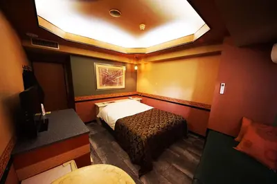 a small room with a bed and a skylight at Hotel Mju-Adult Only in Tokyo
