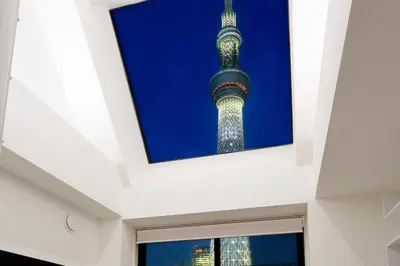 a view of the oriental pearl tower from the top of the building at La Krasse Sumida in Tokyo