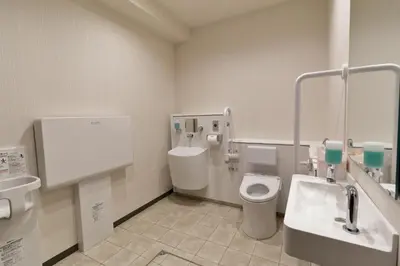 a bathroom with a toilet and a sink at Act Hotel Roppongi in Tokyo