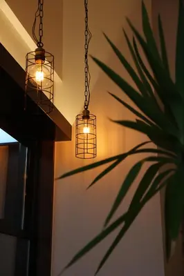 two lights hanging from a chain next to a plant at Hotel Emit Ueno in Tokyo