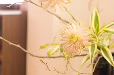 a vase filled with pink flowers in a room at K&K Apartment Kita-Akabane #301 in Tokyo