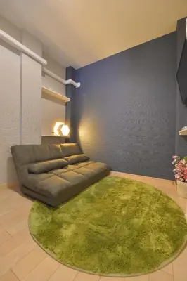 a living room with a couch and a green rug at Mervielle Ueno in Tokyo