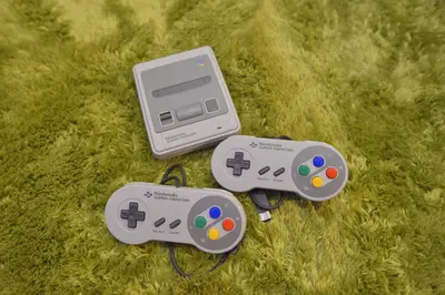 two nintendo wii game controllers sitting on the grass at Mervielle Ueno in Tokyo
