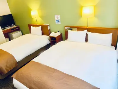 a hotel room with two beds and a tv at Tokyo Plaza Hotel in Tokyo