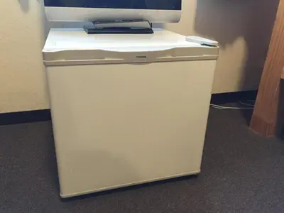 a small refrigerator with a monitor on top of it at Hotel Palace Japan in Tokyo