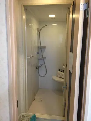 a bathroom with a shower and a toilet at Hotel Palace Japan in Tokyo