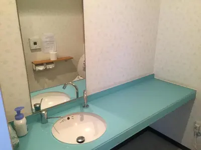 a bathroom counter with a sink and a mirror at Hotel Palace Japan in Tokyo