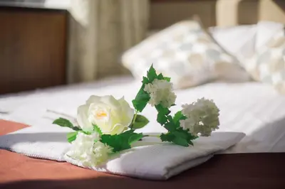 a bouquet of white flowers sitting on top of a bed at Tabata Oji Hotel in Tokyo