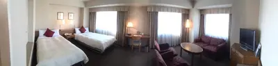 a hotel room with a bed and a tv at Dai-ichi Hotel Ryogoku in Tokyo