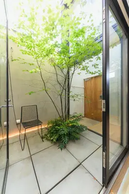 a room with a tree and a chair in it at RiriLeo Koenji in Tokyo