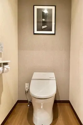 a white toilet in a bathroom with a picture on the wall at Hotel BIX \u30c1\u30a7\u30c3\u30af\u30a4\u30f323\u6642 \u5909\u66f4\u4e0d\u53ef in Tokyo