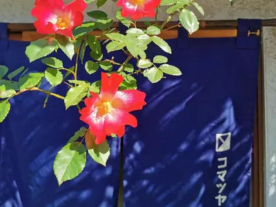 a tree with red flowers in front of a blue sign at Komatsuya in Tokyo