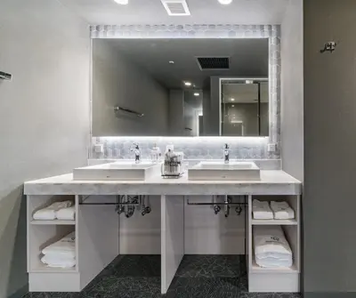 a bathroom with two sinks and a large mirror at Daiwa Roynet Hotel Nishi-Shinjuku PREMIER in Tokyo