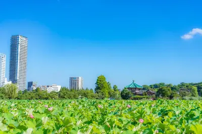 a field of flowers with buildings in the background at Hotel Kangetsuso in Tokyo