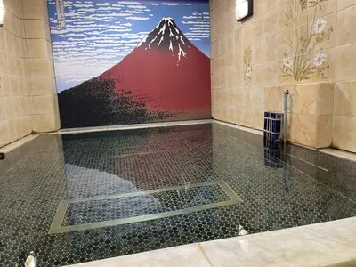 a bathroom with a shower with a mountain mural on the wall at Capsule Inn Kinshicho in Tokyo