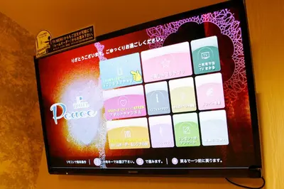a television screen with a bunch of different colored squares at Hotel Peace (Adult Only) in Tokyo