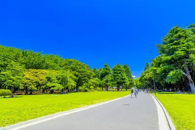 a walkway in a park with green grass at Tabist Hotel New Washington Shibuya in Tokyo